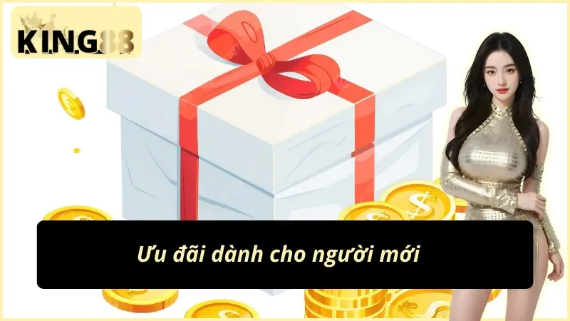 Cách Đăng Ký Tài Khoản KING88 - Kho Báu Cá Cược Đẳng Cấp 3 Nhiều ưu đãi khủng khi dùng cách đăng ký tài khoản KING88