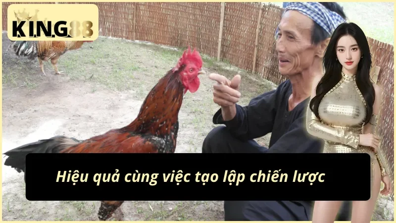 Hiệu quả cùng chiến lược cược đá gà Philippines KING88