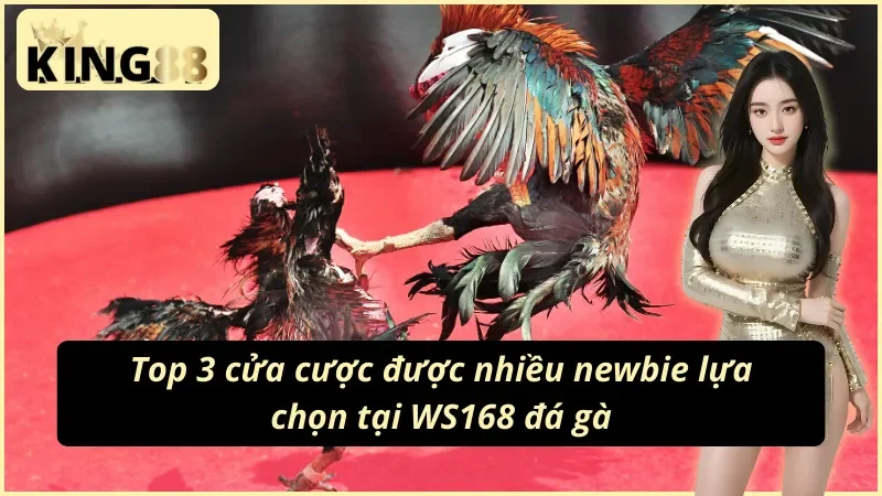 Các cửa cược cơ bản tại WS168 đá gà KING88